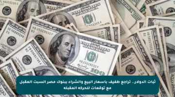 ثبات الدولار.. تراجع طفيف بأسعار البيع والشراء ببنوك مصر السبت المقبل مع توقعات للحركة المقبلة